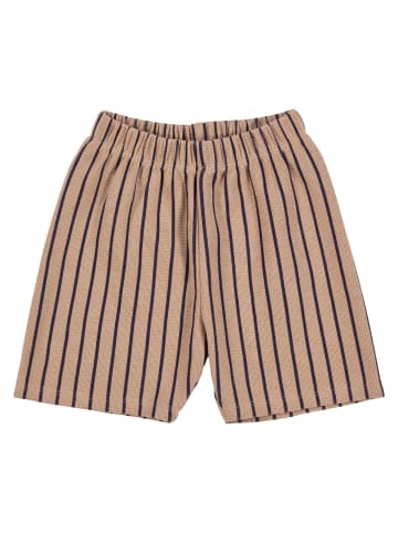 JAM Generation Babyshorts in Ginger/ Navy