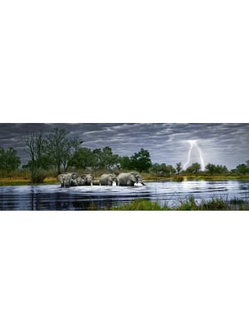 HEYE Herd of Elephants Puzzle | 2000 Teile