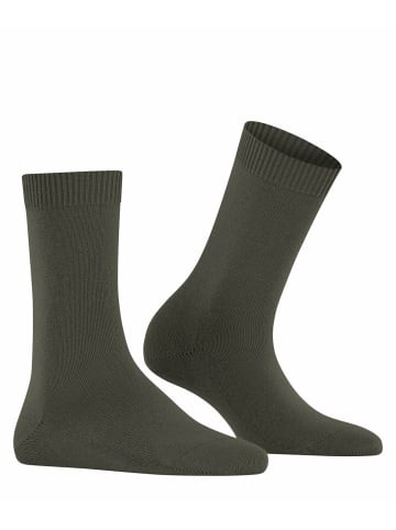 Falke Socken 1er Pack in Dunkelgrün