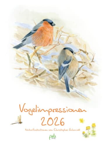 Pala Kalender - Vogelimpressionen 2026