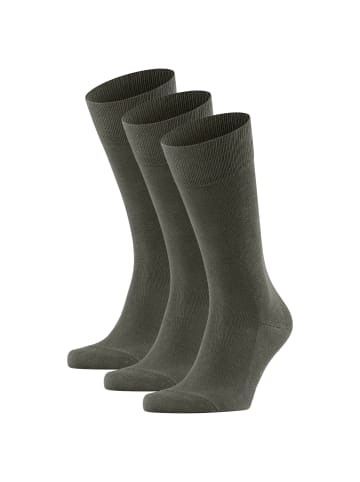 Falke Socken 3er Pack in Grün (Military)