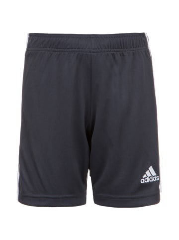 adidas Performance Funktionsshorts Tastigo 19 in grau / weiß