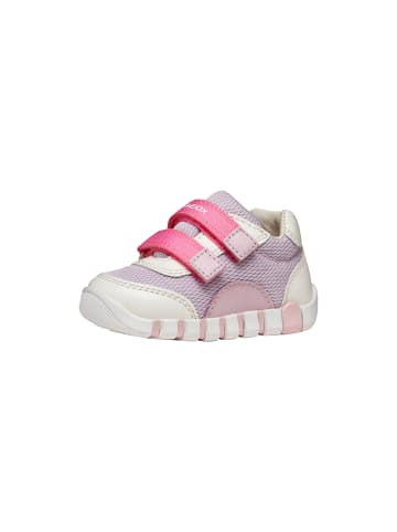Geox Sneaker Kind aus Leder Lupidoo G A Mesh Geobuck Weiß