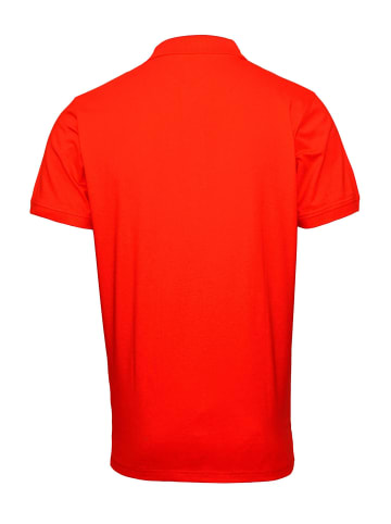 HARVEY MILLER POLO CLUB Poloshirt in rot