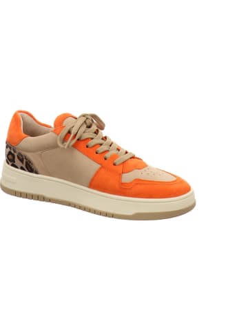 Kennel & Schmenger Sneaker Low in bunt