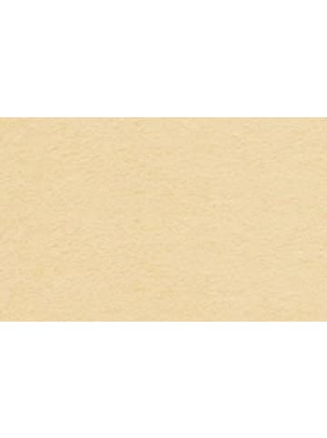 Buntpapierfabrik Ludwig Bähr Fotokarton 300g/qm A4 Packung mit 50 Blatt apricose