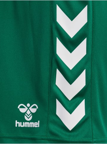 Hummel Hummel Kurze Hose Hmlcore Multisport Erwachsene Atmungsaktiv Schnelltrocknend in EVERGREEN