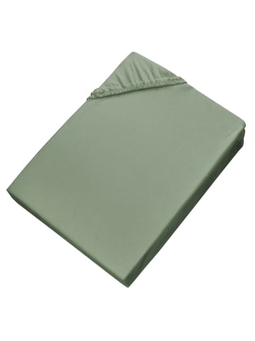 Schöner Wohnen Kollektion Spannbettlaken BASIC in Salbei