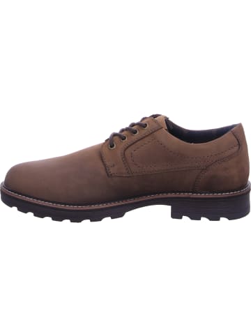 Camel Active Schnürschuh in braun