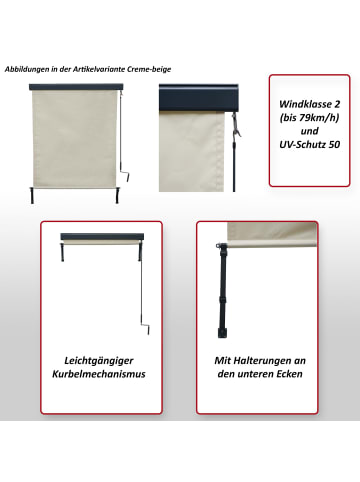 MCW Vertikalmarkise F42, 250x140cm, schwarz