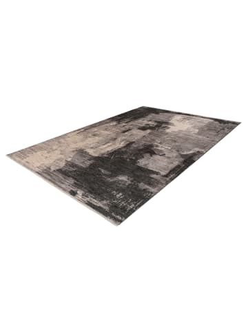 Vivorum Vivorum Neu 2026 Wohnzimmer Kurzflor Teppich Skanxs 125 grau in grau