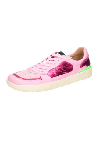 Acebos Schnürschuh in rosa