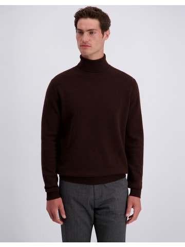 Pierre Cardin Pullover in Mole