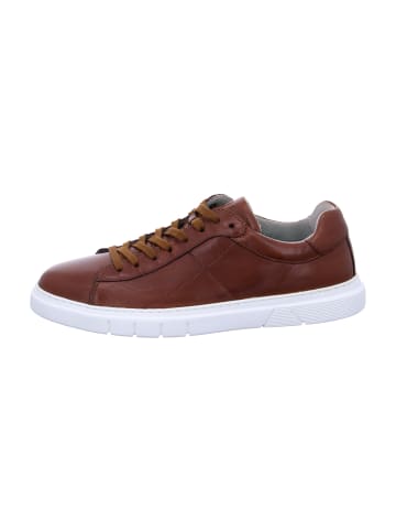 Pius Gabor Sneaker Low in Braun