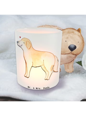 Mr. & Mrs. Panda Kerzenhalter Golden Retriever Moment ohne Spruch in Transparent