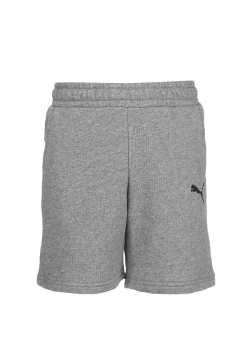 Puma Shorts TeamGOAL 23 Casuals in grau