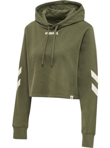 Hummel Hoodie in Grün