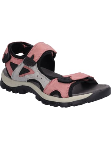 WESTLAND Sandale Avora 02 in pink-multi