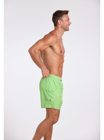 wavebreaker Shorts in hellgrün