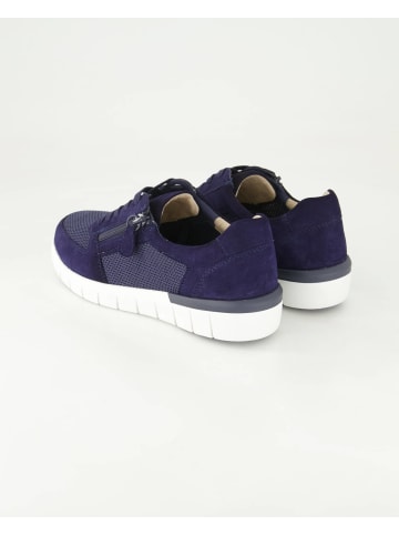 Terry Sneaker low in Blau