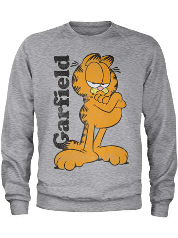 Garfield Pullover in Grau