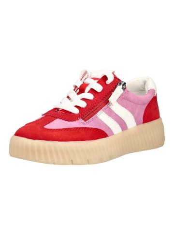 Tamaris Sneaker in Rot/Pink