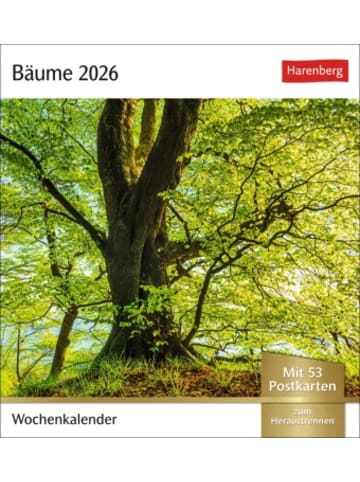 Harenberg Kalender - Bäume Postkartenkalender 2026 - Wochenkalender mit 53 Postkarte