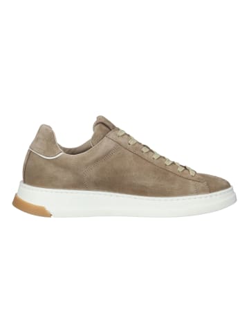 Sansibar Sneaker in Beige