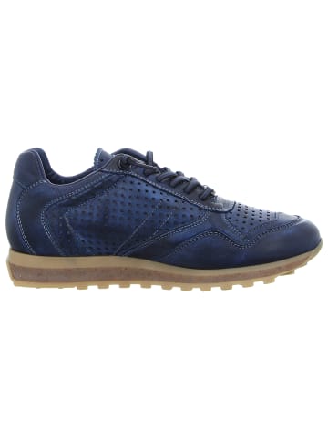 Cetti Sneaker in blau