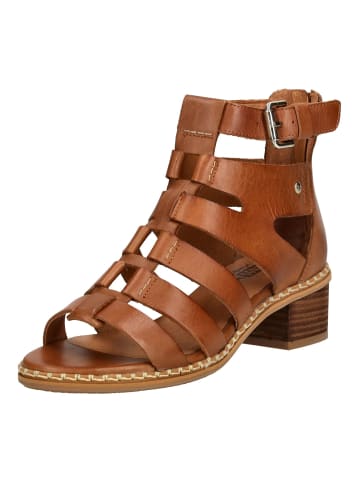 Pikolinos Sandalen in Brandy