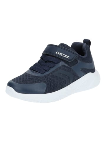 Geox Sneaker in Navy