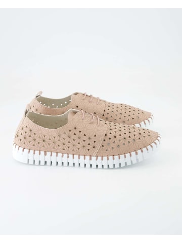 Terry Sneaker low in Rosa
