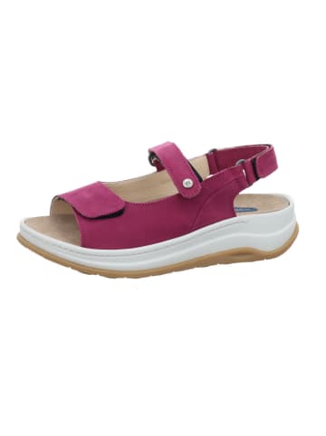 wolky Sandale in lila