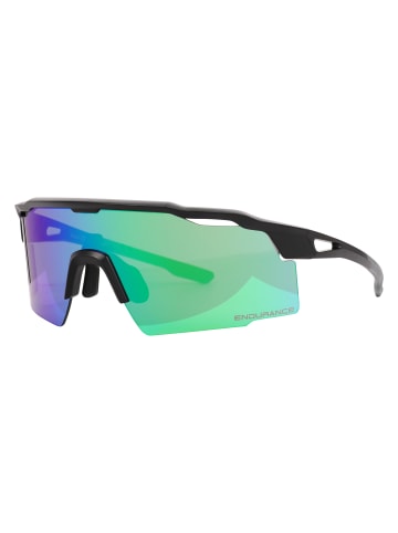 Endurance Sportbrille Alberto in 8887 various green