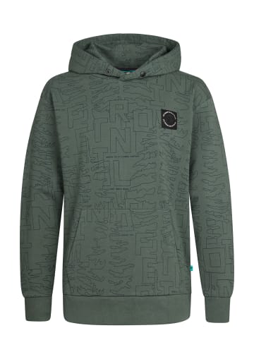 Petrol Industries All-over Print Hoodie Blue Ridge in Grün