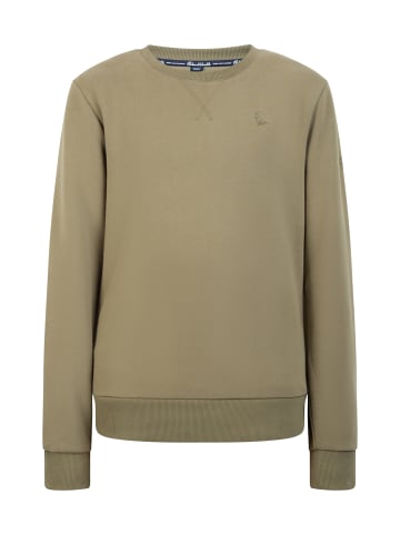 Schmuddelwedda Sweatpullover in Oliv