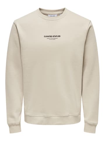 ONLY & SONS Sweatshirt in Silver Lining