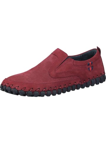 manitu Slipper in bordeaux
