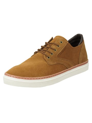 Gant Sneaker in Braun