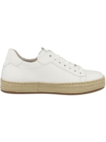 Gabor Sneaker low 83.270 in weiss