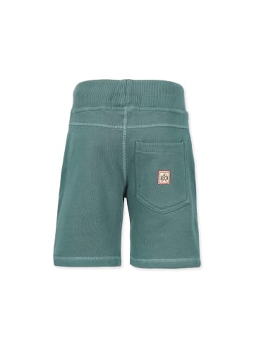 Band of Rascals Shorts " Jogging " in sage