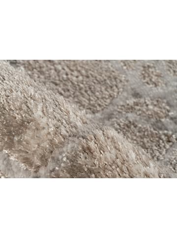 Vivorum Wohnzimmer Kurzflor Teppich Catcher 125 in silber - beige