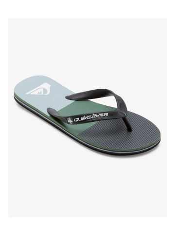 Quicksilver Flip-Flops Molokai in Mehrfach
