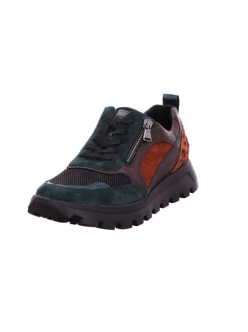 WALDLÄUFER Ajala Ajala in tanne/schwarz/merlot