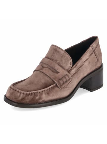 Paul Green Trotteur in braun