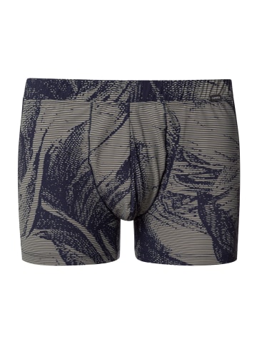 Hanro Retro Pants Fancy Micro in striped palm print