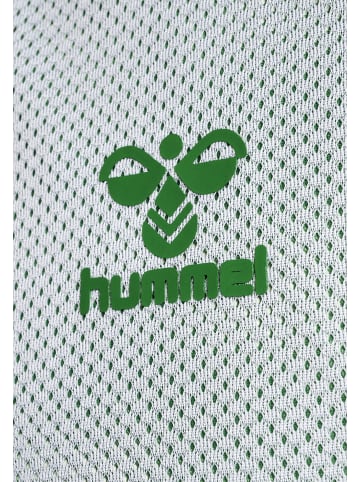 Hummel T-Shirt Hmlcore Herren in JELLY BEAN/WHITE