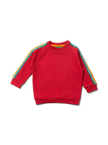 Little Green Radicals Raglan-Sweatshirt in Rot