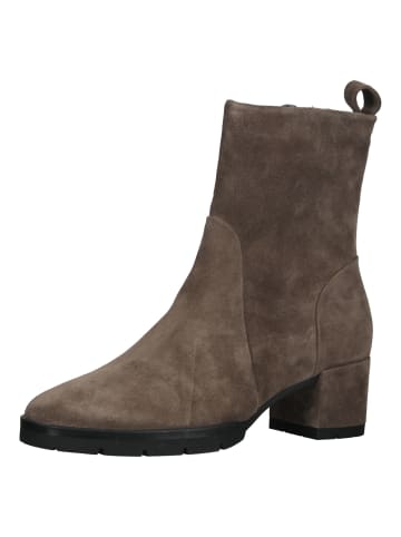 Högl Stiefelette in Taupe