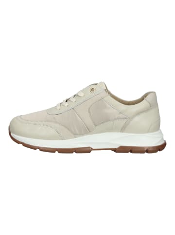 SALAMANDER Sneaker in Beige